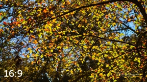 MoPac East Trail 56330