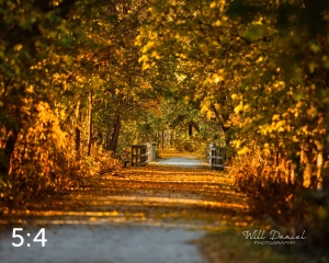 MoPac East Trail 56034