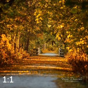 MoPac East Trail 56034