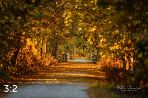 MoPac East Trail 56034