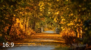 MoPac East Trail 56034