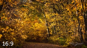 MoPac East Trail 56903