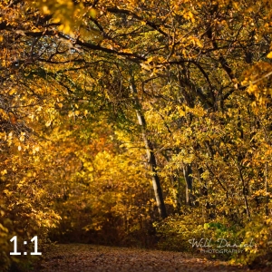 MoPac East Trail 56903