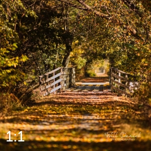 MoPac East Trail 56259