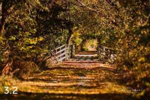 MoPac East Trail 56259