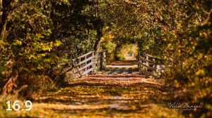 MoPac East Trail 56259