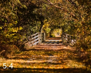 MoPac East Trail 56259