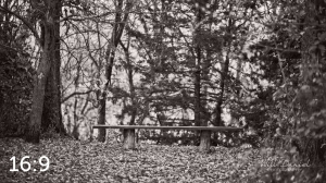 Dead Timber State Recreation Area 56399BW