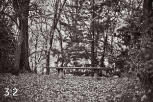 Dead Timber State Recreation Area 56399BW