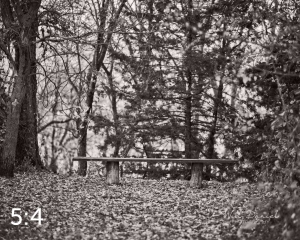 Dead Timber State Recreation Area 56399BW