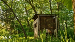 Dead Timber State Recreation Area 54532