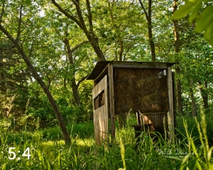 Dead Timber State Recreation Area 54532