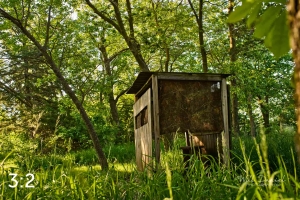 Dead Timber State Recreation Area 54532