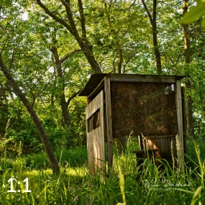 Dead Timber State Recreation Area 54532