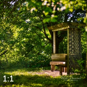 Dead Timber State Recreation Area 54557