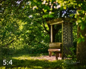 Dead Timber State Recreation Area 54557