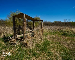 Dead Timber State Recreation Area 54331