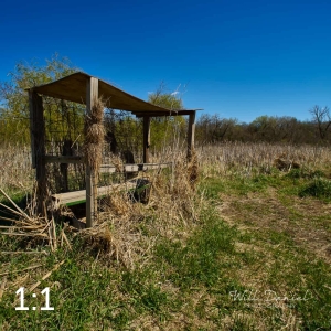 Dead Timber State Recreation Area 54331