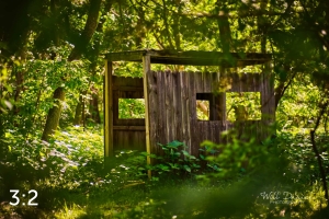 Dead Timber State Recreation Area 54571