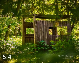 Dead Timber State Recreation Area 54571