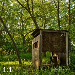 Dead Timber State Recreation Area 54538