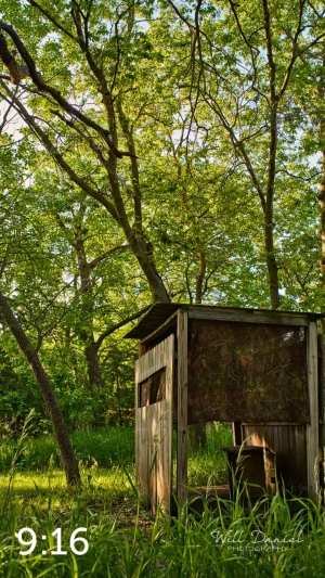 Dead Timber State Recreation Area 54538