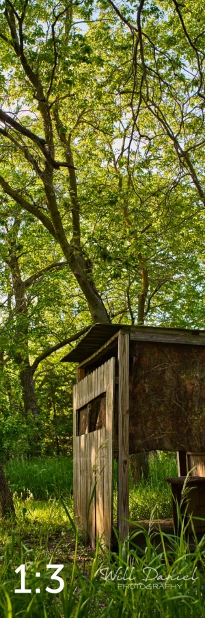 Dead Timber State Recreation Area 54538