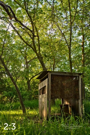 Dead Timber State Recreation Area 54538