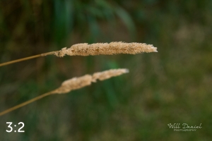 Lake Wanahoo Trail 712923