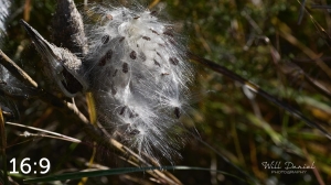 Lake Wanahoo Trail 720027