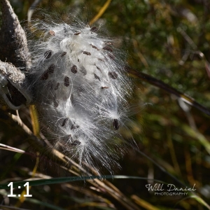 Lake Wanahoo Trail 720027