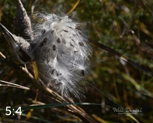Lake Wanahoo Trail 720027