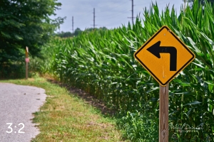 Lake Wanahoo Trail 712947