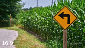 Lake Wanahoo Trail 712947