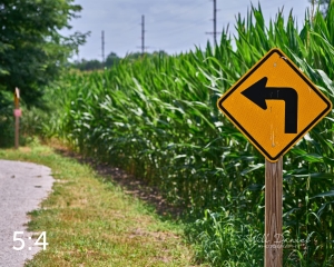 Lake Wanahoo Trail 712947