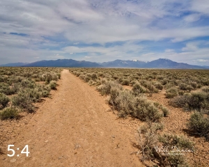 Rio Grand Gorge West Rim Trail 723039