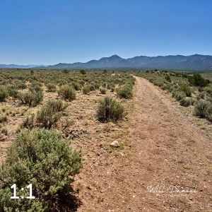 Taos Valley Overlook Trails 723139