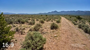 Taos Valley Overlook Trails 723139