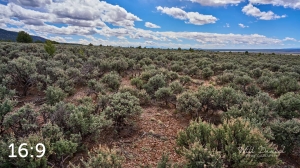Taos Valley Overlook Trails 502884