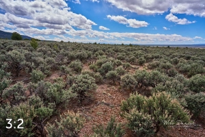 Taos Valley Overlook Trails 502884