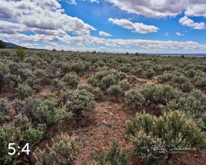 Taos Valley Overlook Trails 502884