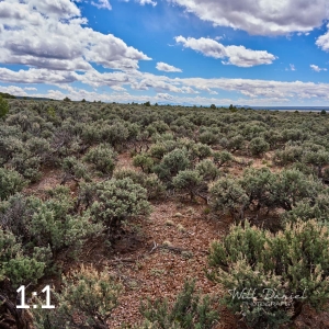 Taos Valley Overlook Trails 502884