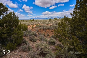 Taos Valley Overlook Trails 502874