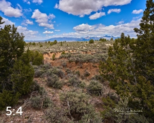 Taos Valley Overlook Trails 502874