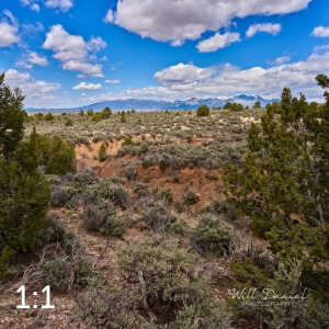Taos Valley Overlook Trails 502874