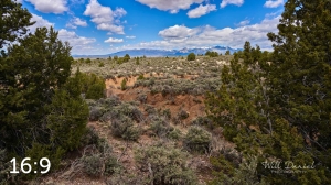 Taos Valley Overlook Trails 502874