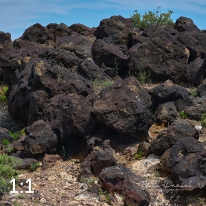 Petroglyph National Monument Volcanos Trail 712333