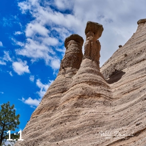 Kasha-Katuwe Tent Rocks 712499