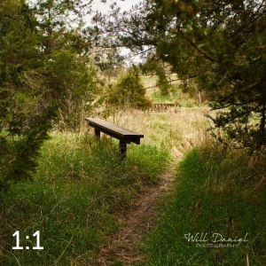 Long Pine State Recreation Area 58494