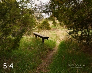 Long Pine State Recreation Area 58494